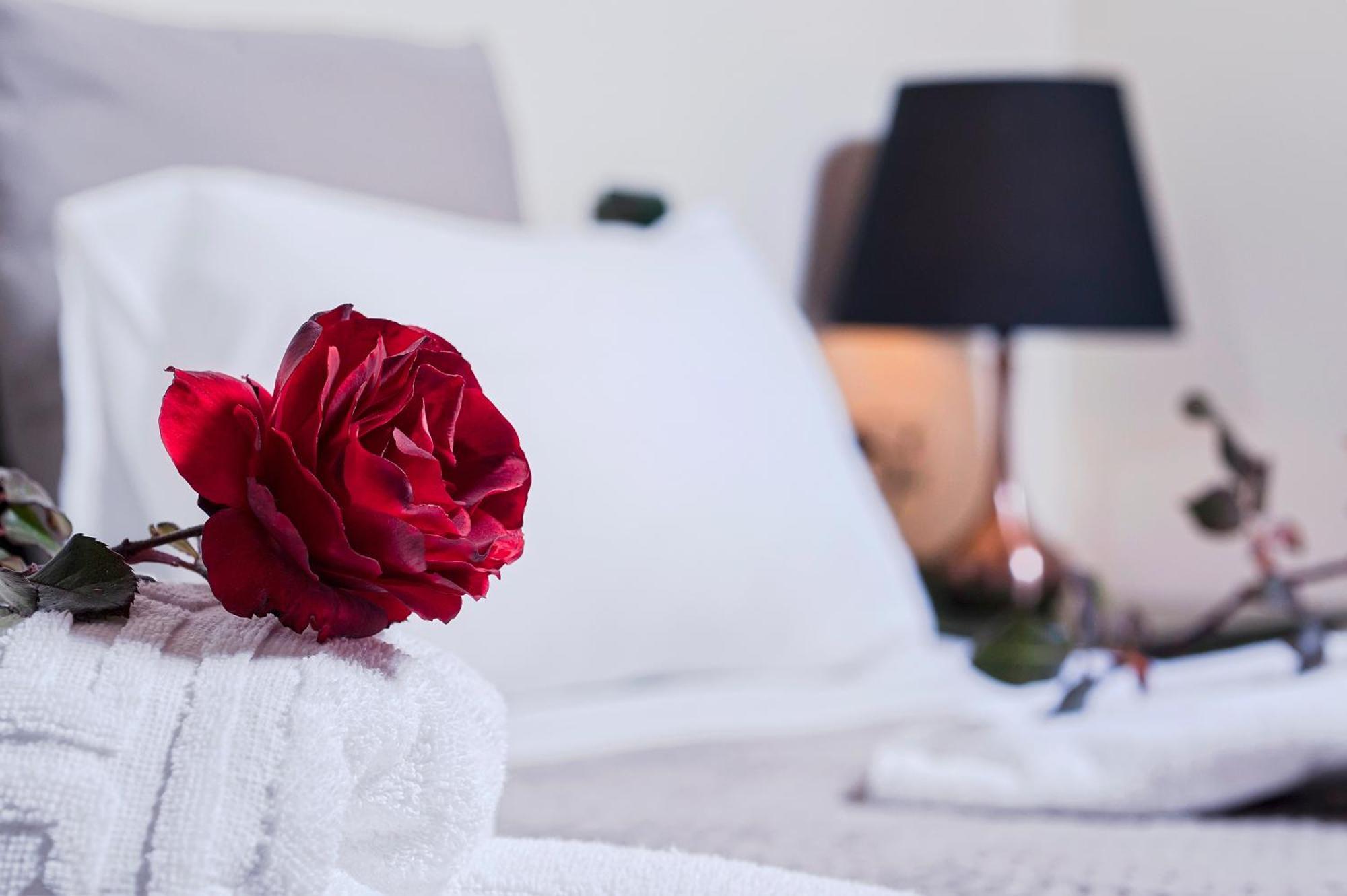 Kyriaki's Cozy Apartments Agia Marina Zewnętrze zdjęcie
