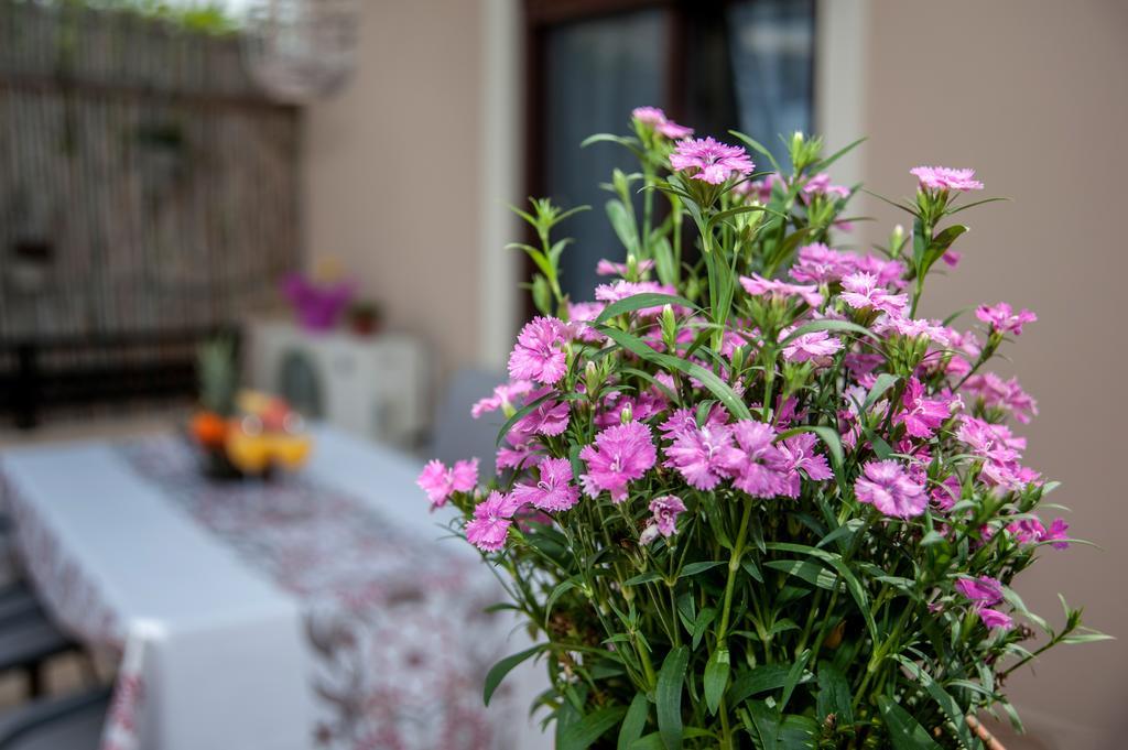 Kyriaki's Cozy Apartments Agia Marina Zewnętrze zdjęcie